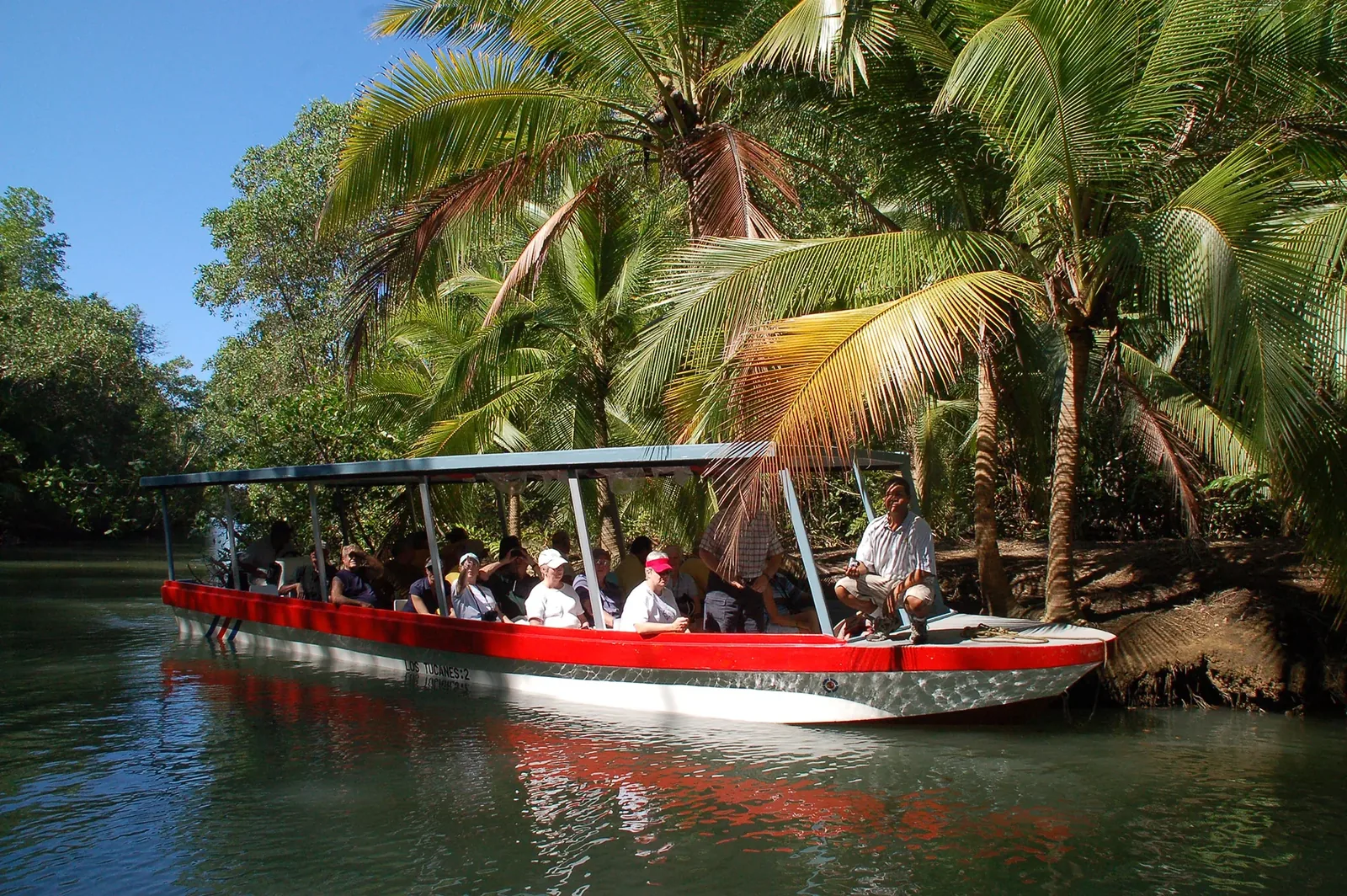 Navegando los canales de manglar de Isla Damas con un guía naturalista
