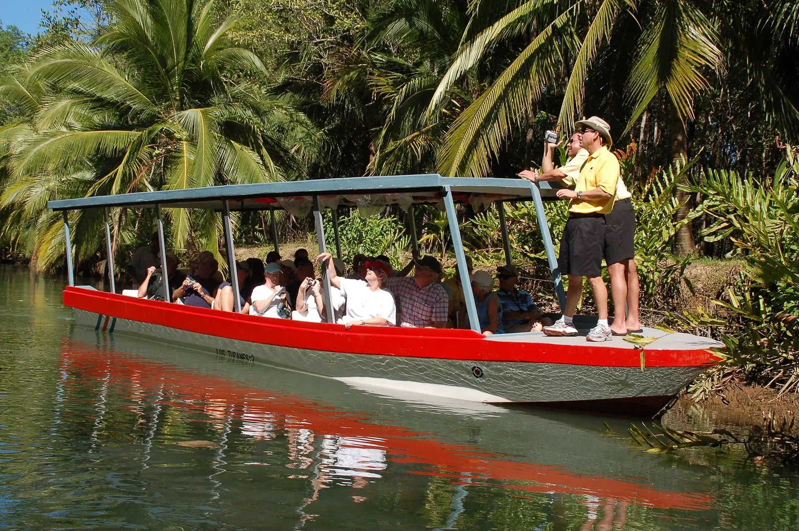 Tour en Bote por los Manglares de Isla Damas