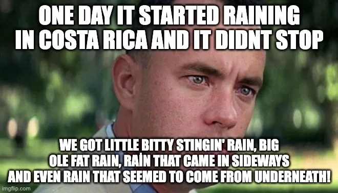 Qué hacer en Manuel Antonio cuando llueve, meme de Forrest Gump