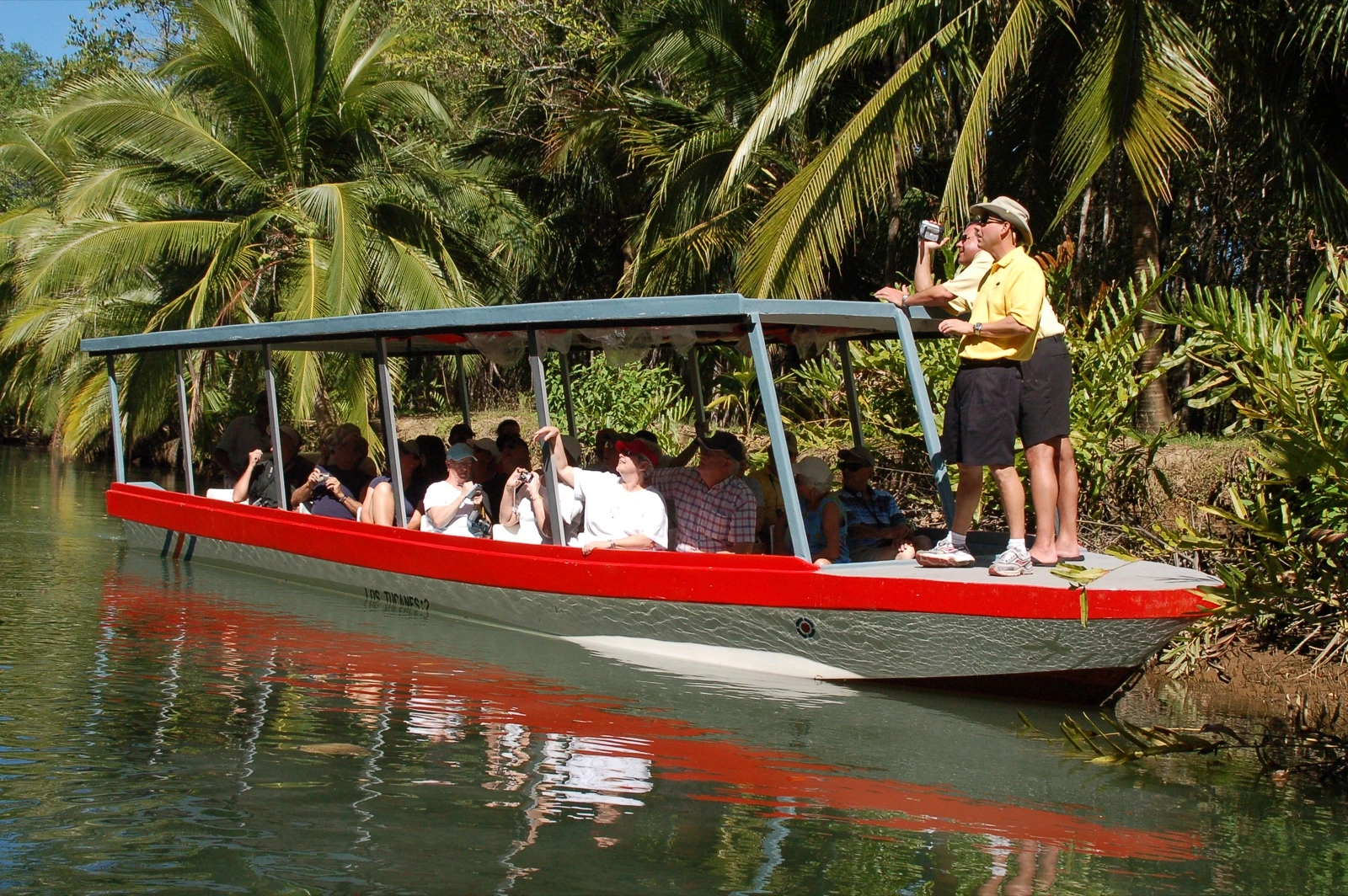 Visitantes fotografiando fauna desde un bote techado con guía naturalista en los canales de manglar de Isla Damas