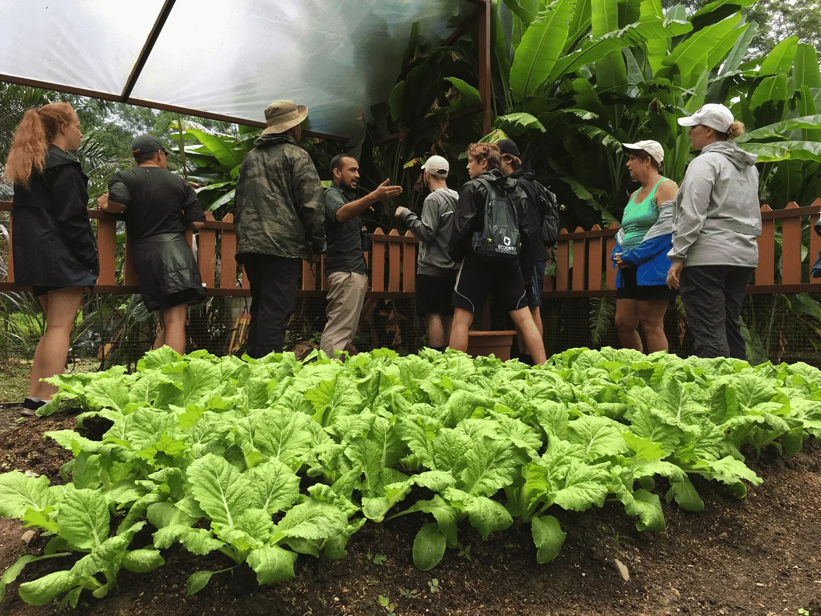 Grupo disfrutando la experiencia de finca orgánica en Rancho Río Naranjo, cerca de Quepos, Costa Rica