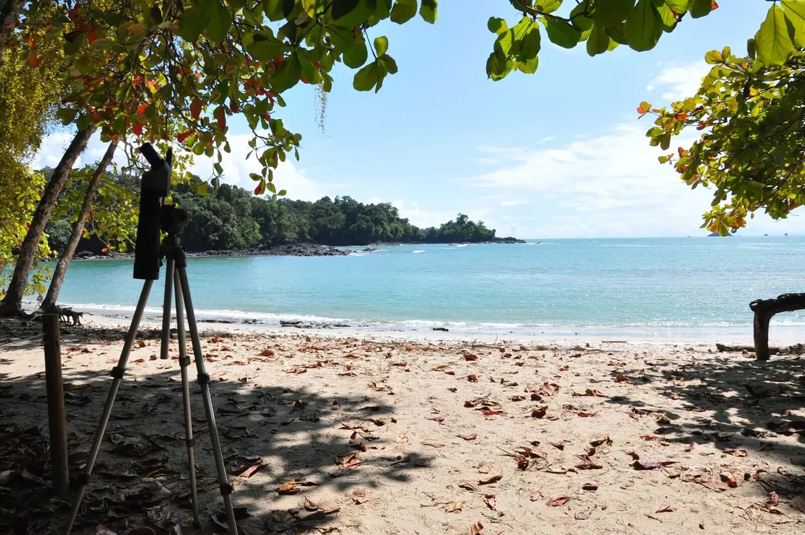 Playa reconocida por Forbes en Manuel Antonio