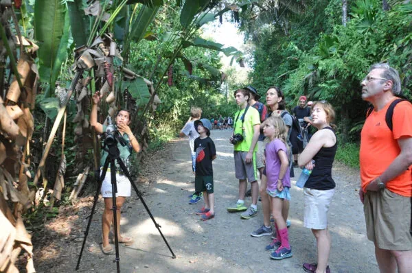 Observación de vida silvestre con un guía en Manuel Antonio