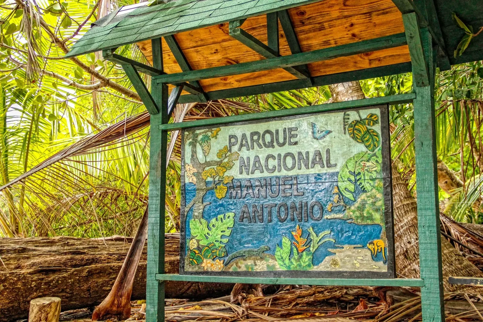 Viva lo mejor del Parque Nacional Manuel Antonio con un guía