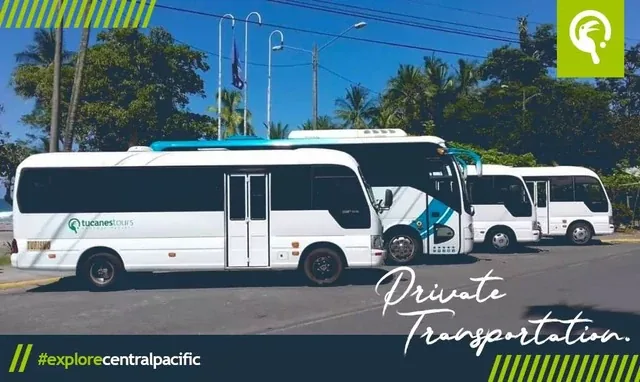 Cuide sus cosas de la vida silvestre en Manuel Antonio