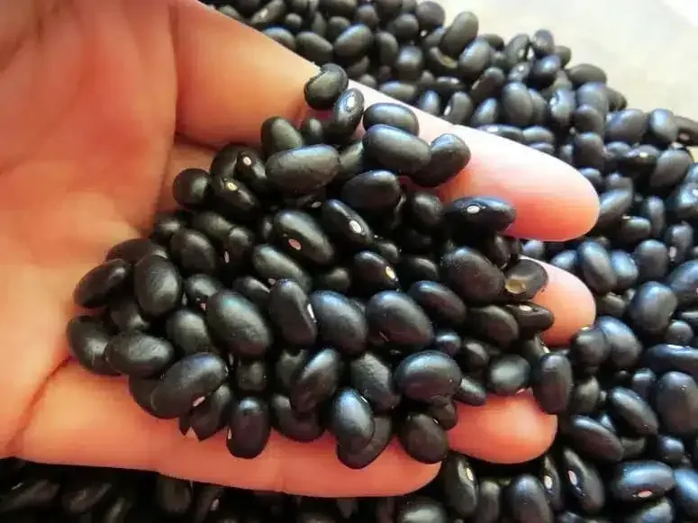 Frijoles negros sazonados, un acompañamiento típico de Costa Rica