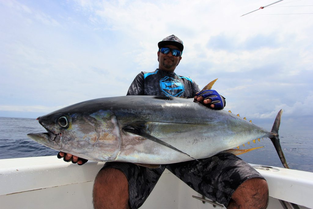 Yellowin tuna caught in Golfito while sport fishing