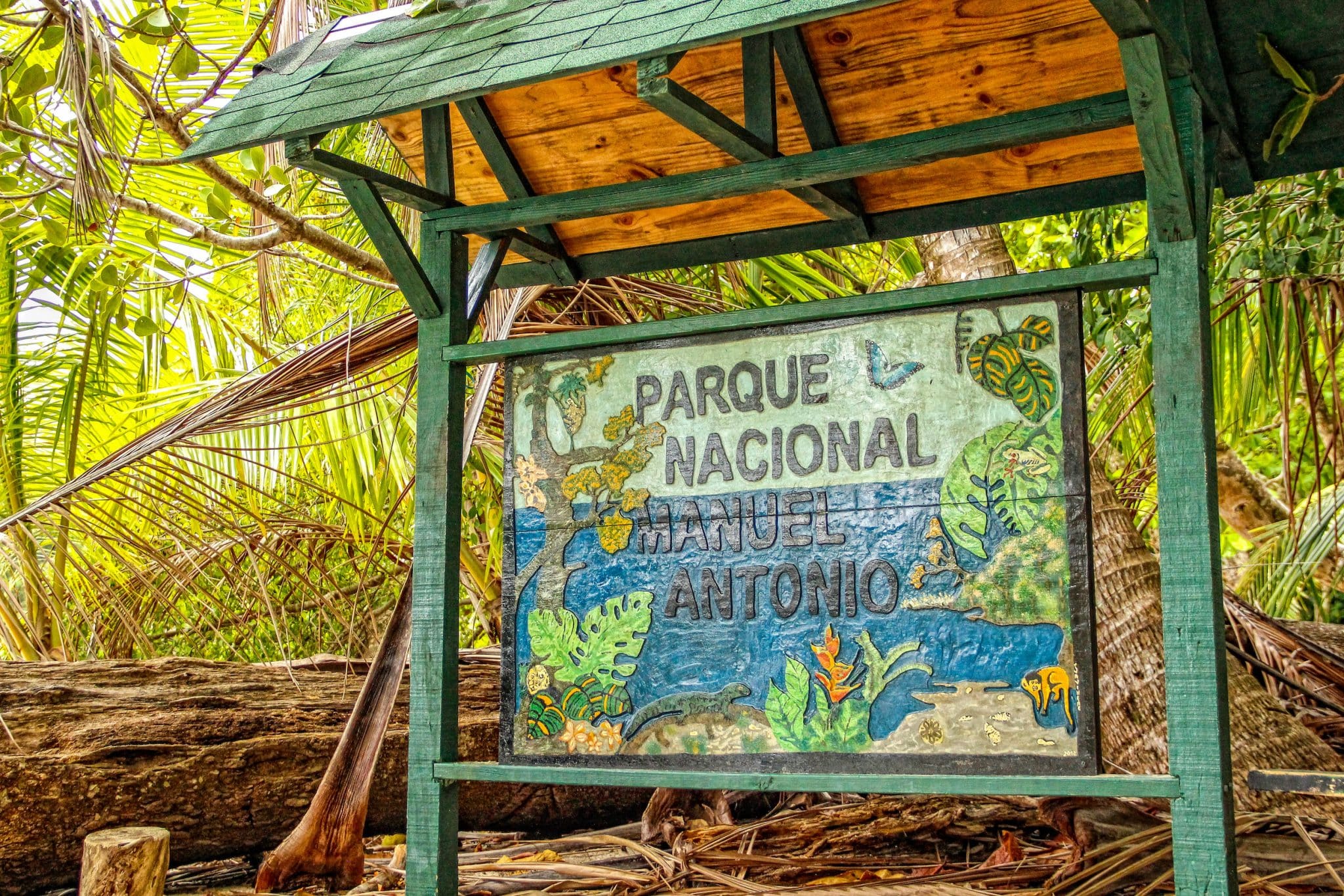 Featured image for “Discover the Wonders of Manuel Antonio National Park: 5 Reasons to Hire a Guide”